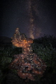 Starry Night image is referencing the time you find these octopus and it s common name The Starry Night Octopus Starry Night image is referencing the time you find these octopus and it s common name The Starry Night Octopus