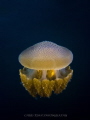 Underwater lantern