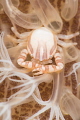 Porcelein crab at home. Porcelein crab at home.