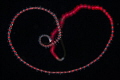 Worm while Blackwaterdive Worm while Blackwaterdive