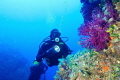 Marettimo s Island
Blutek Diving Marettimo s Island
Blutek Diving