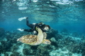 My wife and Green sea Turtle My wife and Green sea Turtle