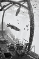 Barracuda on a Shipwreck Barracuda on a Shipwreck