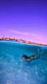Free diver Free diver