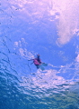 Floating Floating