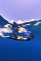 Fish circling Fish circling