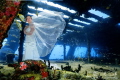 Wreck off of Cancun that has a lovely deck, was a great place to add bride for an underwater fairy-tale photo!