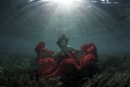 Underwater Fashion Underwater Fashion