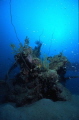 Japanese mini sub lying parallel to the Taisho Maru Wreck New Britain island Kavieng area Japanese mini sub lying parallel to the Taisho Maru Wreck New Britain island Kavieng area