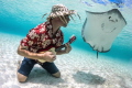 Polynesian rock n roll Polynesian rock n roll