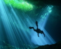 I dived for the first time in Cenote. Although I had diving in the cave before, it was my first time such a beautiful and mysterious experience.
