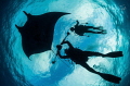 Marcelo Roger and Mantaray Roca Partida M xico Marcelo Roger and Mantaray Roca Partida M xico
