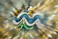 Blue giant clam with on camera blurred filter. Blue giant clam with on camera blurred filter.