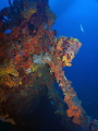 Wreck of the RMS Rhone Salt Island British Virgin Islands Wreck of the RMS Rhone Salt Island British Virgin Islands