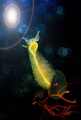 Alien sea Alien sea