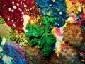 Colourful cave wall Colourful cave wall