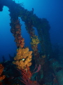 Wreck of the RMS Rhone Salt Island British Virgin Islands Wreck of the RMS Rhone Salt Island British Virgin Islands