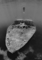 pecorella wrecks pecorella wrecks