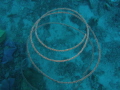 Spiral Coral Cirrhipathes spiralis Spiral Coral Cirrhipathes spiralis