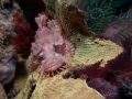 oceanart oceanart