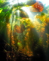 Underwater fall. Underwater fall.