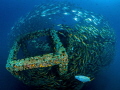 Bunched up ...
Sail Rock Thailand Bunched up ...
Sail Rock Thailand