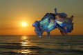 Time for love Time for love