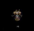 Portrait Roughhead blenny with Retra snoot
Sea Sea YS D2 Portrait Roughhead blenny with Retra snoot
Sea Sea YS D2