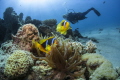 Eilat Eilat