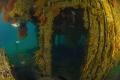 WWII minesweeper converted into an artificial reef with abundant sea  life