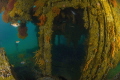 WWII minesweeper converted into an artificial reef with abundant sea life WWII minesweeper converted into an artificial reef with abundant sea life