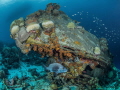 Small wreck near Captains Don s habitat. But with a lot of marine life.