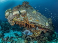 Taken on Bonaire during a sunset dive. Taken on Bonaire during a sunset dive.