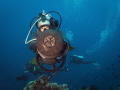 the terror of verde island the terror of verde island