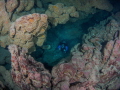 Small cave at the Fury Shoals in Egypt. Small cave at the Fury Shoals in Egypt.