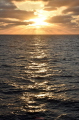 sunset sunset