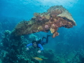 Wreck in the Red sea near the Fury Shoals. Wreck in the Red sea near the Fury Shoals.