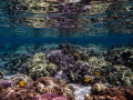 Kahaluu Beach Park  Hawaii