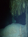 this is inside the cenote, it was dark but not pith black as you were ina group of 4 all with torch light, taken with a dc 500 reefmaster with no flash.