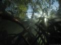 Sunlight through the Mangroves.. e900 plus Fish Eye