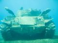 tank. i took this photo by sony cyber-shot in aqaba gulf in nov2006at site dive new canyon.