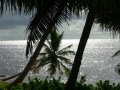 Picture taken June 2007 down in Belize.  We stayed just south of San Pedro.