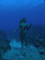 Since the mermaid held that pose until I got there....Grand Cayman, Olympus SP-350, 1 strobe, wide angle