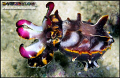 Everyone loves a Flamboyant Cuttlefish ! Sabah Borneo

Nikon F90x Velvia slide film, manually exposed