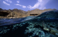 entrance to the bells dive site, just near the blue hole in Dahab, Sinai
