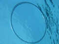 Bubble o-ring