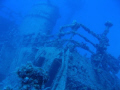 I took this photo on a recent trip to the Florida Keys to the Eagle wreck, it is my deepest dive to date and it was amazing at 105 ft.  I took this photo with my Canon PowerShot A620 without a strobe.