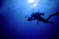 Diver, Egyptian Red Sea, Nikon F50 – Nikkor 20-35mm, No Flash