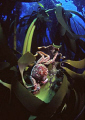 Cape crab on Ecklonia maxima kelp
Cape Peninsula Cape Town
Nikon F-100 with 16mm lens