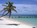 West Bay beach on the island of Roatan, great place to snorkel and shore dive.